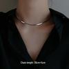 S925 Sterling Silver Elegant Snake Bone Chain Necklace - Women's Minimalist Clavicle Jewelry