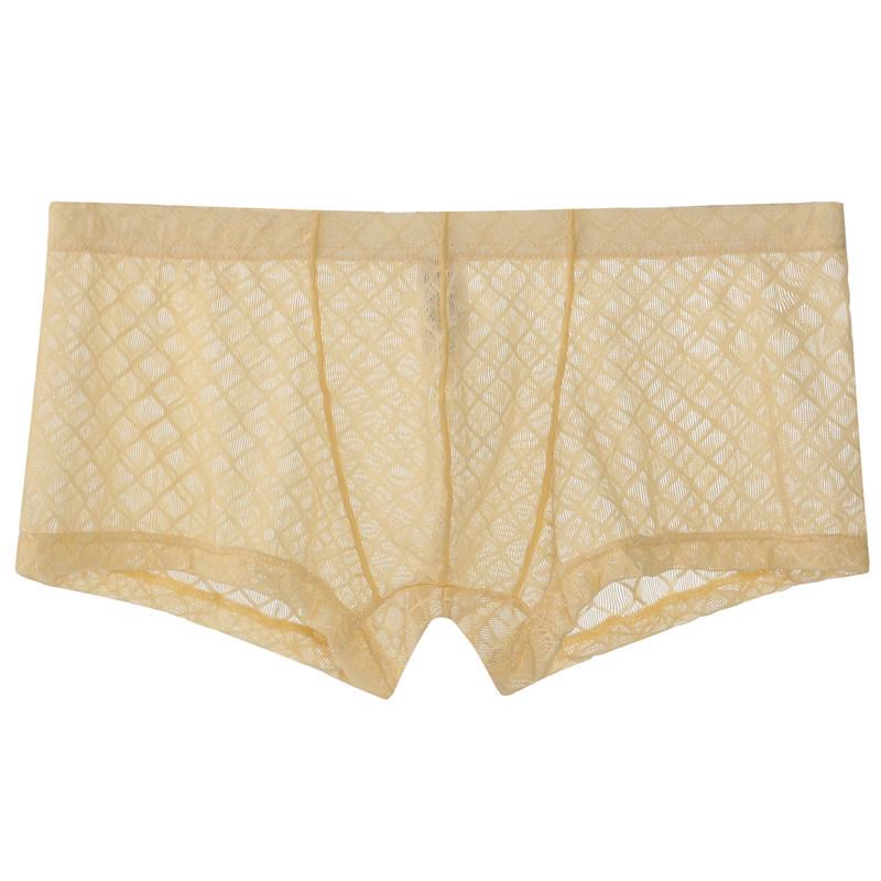 Youye Men's Mesh Transparent Low-Waist Summer Boxer Briefs - Breathable and Trendy Youth Underwear