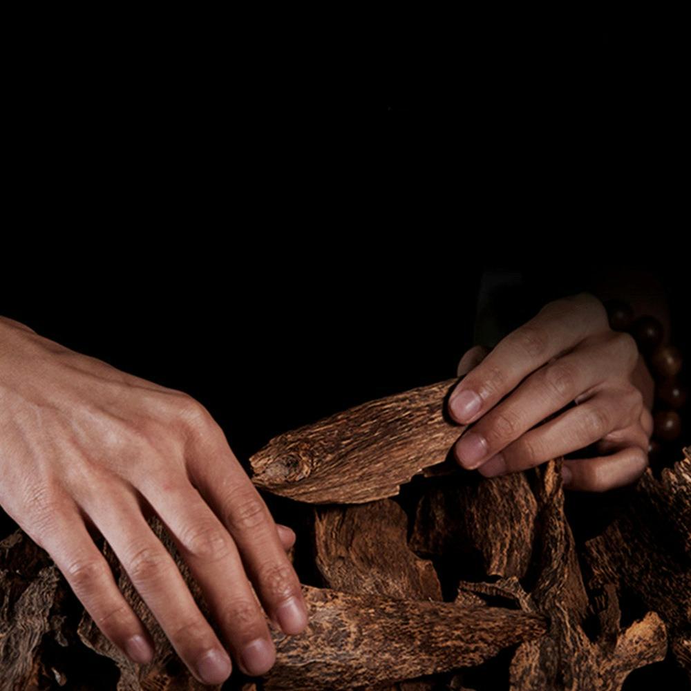 Vietnamese Agarwood Incense Coil Calming Aromatic Soft & Strong Woody Notes Perfect for Meditation Relaxation