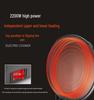 Commercial Double-Sided Electric Griddle for Pancakes and Crepes, Large Diameter, High Power