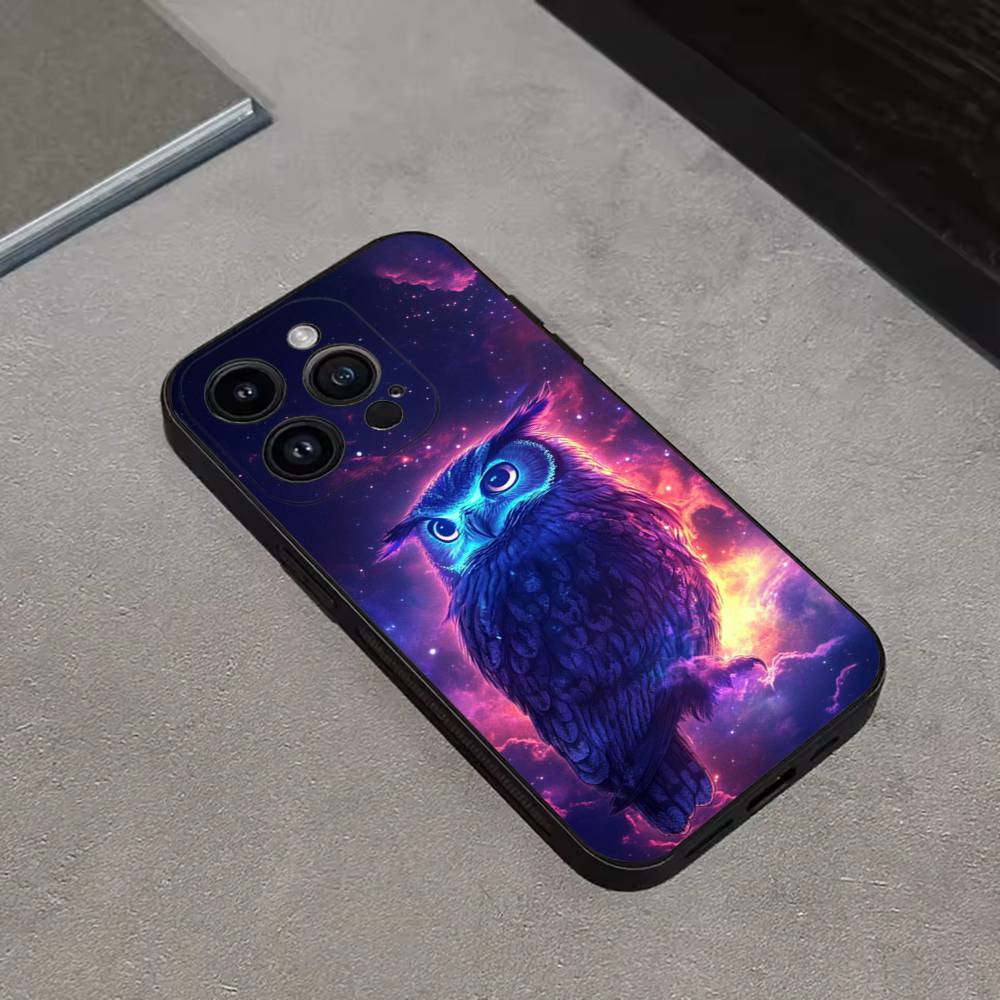 Cute C-Colorful Owl B-Bird Phone Case For iPhone 17,16,15,14,13,12,11 Plus,Pro Max,XS,X,XR,SE,Mini,8,7,Soft Silicone Black Cover