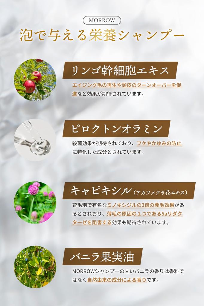 MORROW Hematin Shampoo Amino Acid Scalp Beauty Salon Men's [Aging Care]