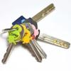 Pack of 12 Colorful Key Identifiers Key Differentiation Rings Flexible Silicone Labels Practical Key Recognition Rings