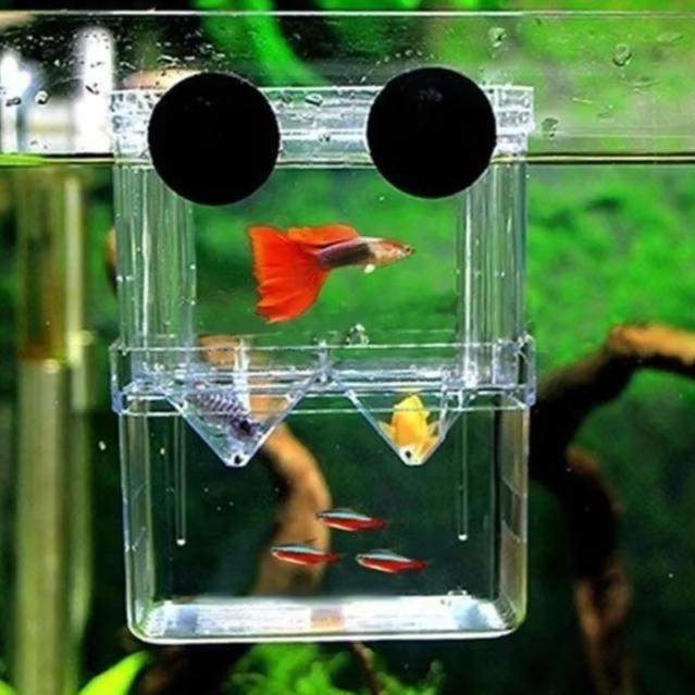 Multifunctional Fish Aquarium High Clear Fish Breeding Isolation Box Aquarium Breeder FishTank Double Guppies Hatching Incubator
