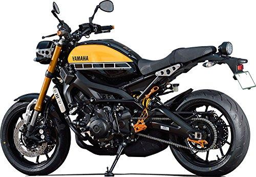 BABY FACE Swing Arm Stand Hook V Type Black MT-09(14-)/XSR900(16-)