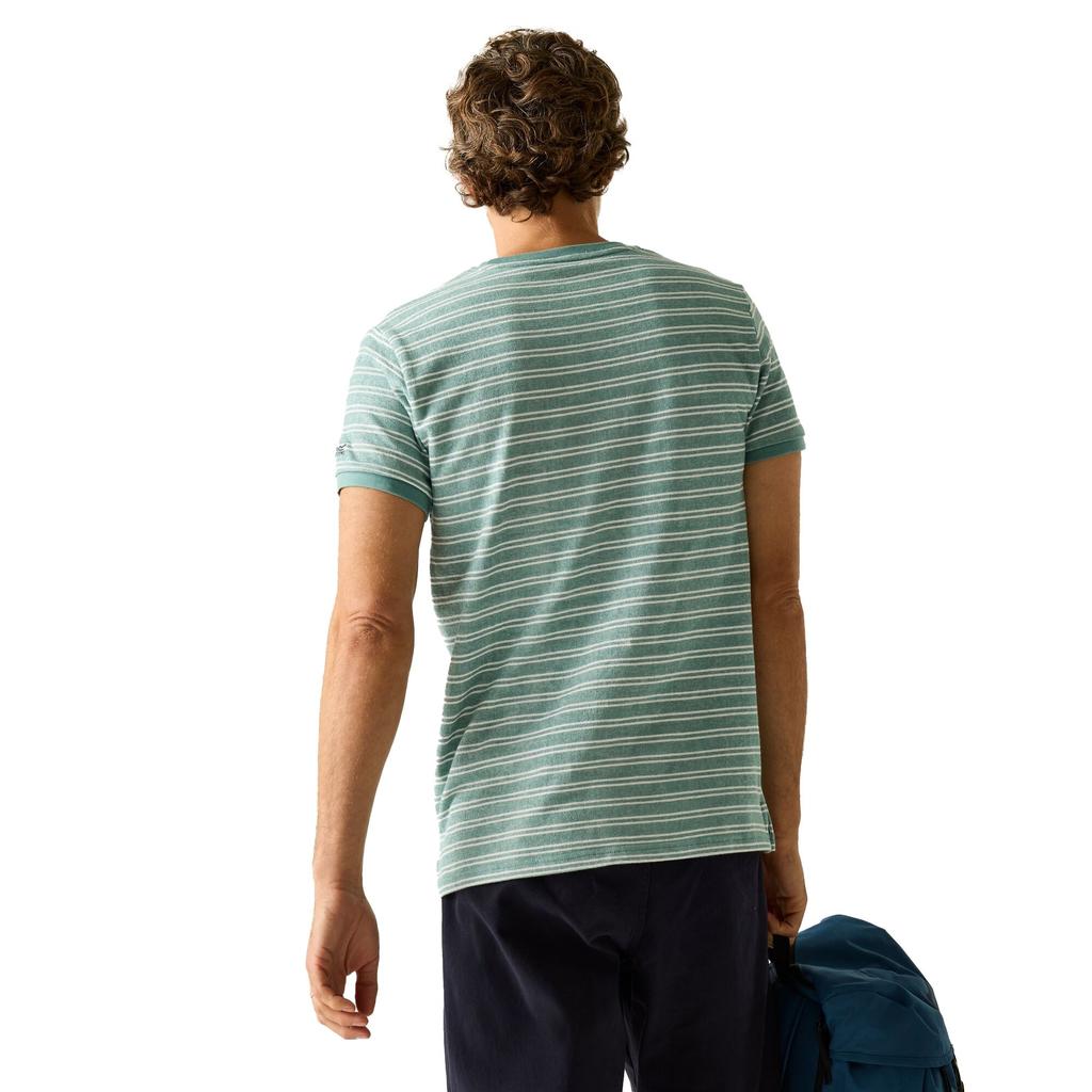 Regatta Mens Benlin Striped T-Shirt