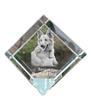 Basque Shepherd Dog, Basque Sheepdog – Crystal Cube with a Photo, Photo of a Horse In Crystal |