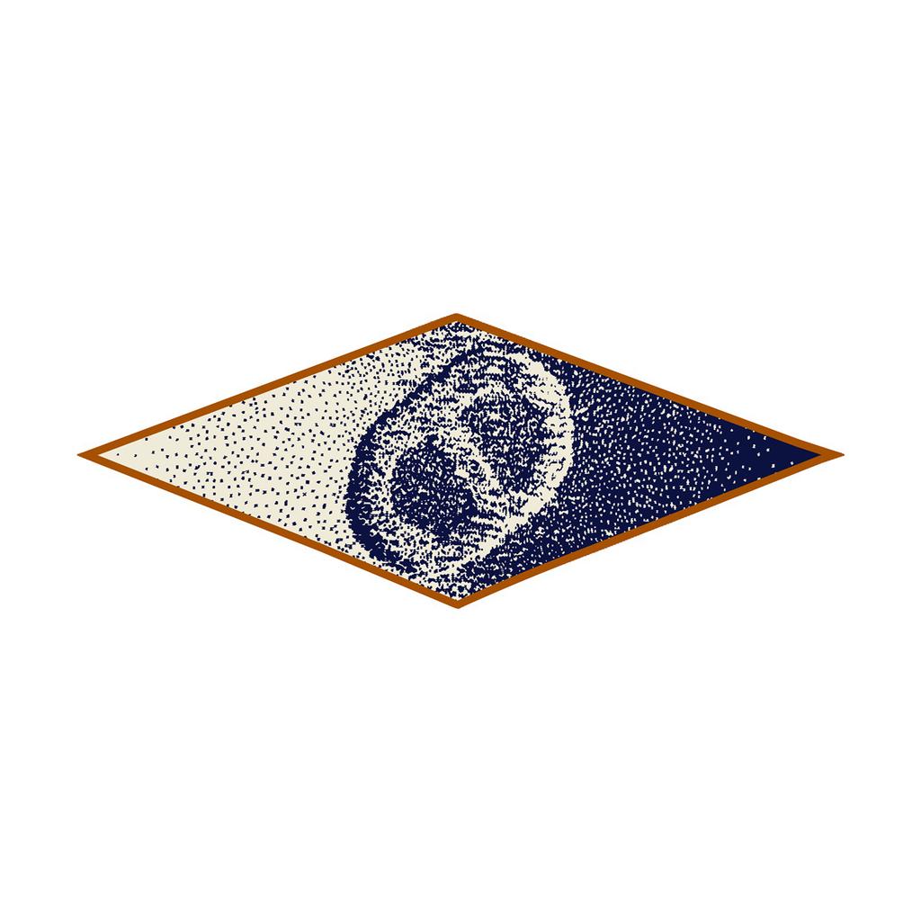 2023 New Fashion Jungle Zebra Diamond Scarf Horse Brand Silk Scarf Woman Luxury Bandana Headband Hijab Foulard Neckerchief Shawl