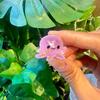 Colorful Marine Animal Hair Clip Set: Dolphin, Octopus, Lobster, Crab, and Starfish Accessories