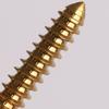 1 Pcs M4 M5 M6 X 12/14/16/20-55mm GR5 TC4 Titanium Alloy Screw Self-tapping  Torx Head Flange Motocycle Case