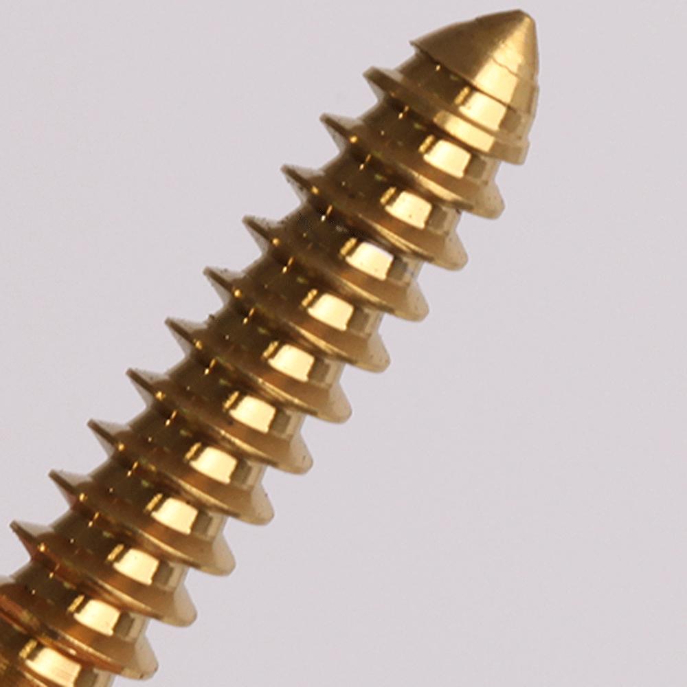 1 Pcs M4 M5 M6 X 12/14/16/20-55mm GR5 TC4 Titanium Alloy Screw Self-tapping  Torx Head Flange Motocycle Case