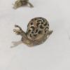 Copper-Plated Snail Incense Holder: Creative Micro-Carved Animal Ornament and Tea Pet