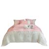 Embroidered Extra Thick Milk Velvet Four-Piece Winter Bedding Set—Duvet & Fitted Sheet, Full Matte Double Color