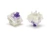 FILCO CHERRY MX2A RGB FILCO Clear Housing 5-Pin Switches, Purple, 70-Pack, Packaging, (for RGB), FKSW70CH/MPU-R