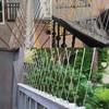 Pigeon Spikes Stainless Steel Bird Repeller Set Deterrent Anti Bird Pigeon Squirrel Cats Repellent for Garden Fence Roof