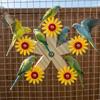 Bite-Resistant Wooden Parrots Ferris Wheel With Bearings Bird Swing Toy  Bird Cage Accessories