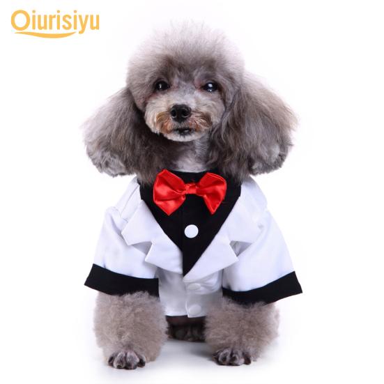 dog wedding costume