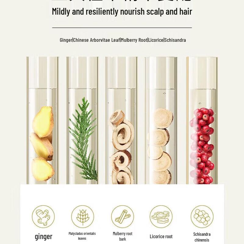 Seeyoung Ginger Anti-Breakage Strengthening Shampoo