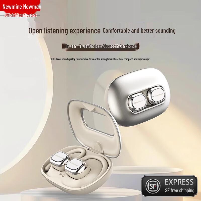 Newmine LY27 Open-Ear Hook Wireless Bluetooth Earphones