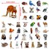 50 Realistic Small Animals Cute Wind Stickers Pack Outdoor Waterproof Stickers Suitable for Computer Water Cup Skateboard