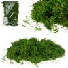 Artificial Moss Loose Decorative for Wreaths Forest In a Jar 30G