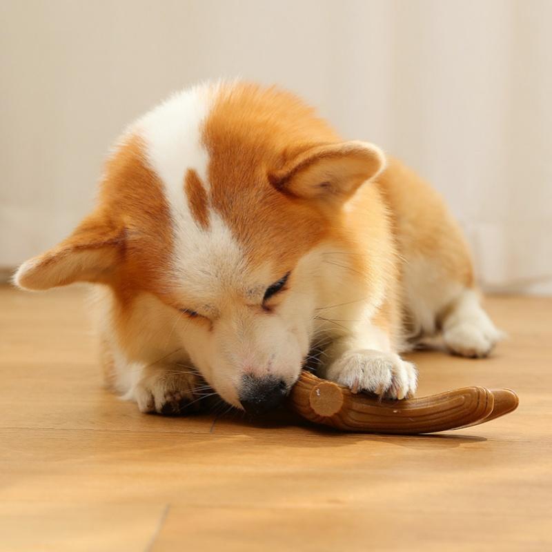 Pet Teeth Grinding Toy Dog Interactive Bone Training Toy Bamboo Cleaning Teeth Fixing Wear Resistant Pet Products