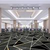Luxury Printed Carpet for Hotel Billiard, Game, and Recreation Rooms – Wall-to-Wall Hallway and Private Room Flooring