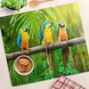 Tempered Multifunctional Decorative Glass Panels Parrot Branch 2X30X52 Cm