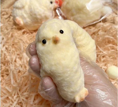 Chick Squeeze Fun Handmade Chick Craft Loose Chicken Funny Stress Relief Toy Same As On Rednote Stress Relieving Toy