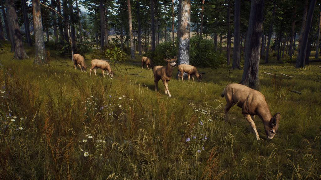 Way of the Hunter North PS5 (Import America) -