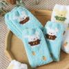 Daiso Clothed Rabbit And Carrot Sleep Socks Blue