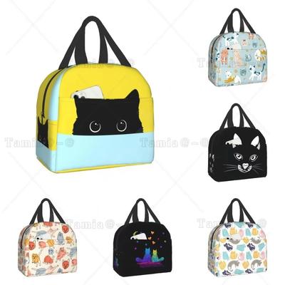 Kočka Izolovaná taška na oběd Opakovaně použitelná chladicí termotaška s přední kapsou pro ženy muže cestování práce turistika piknik svačinový box