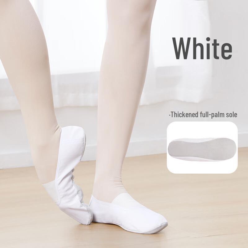 Канвасовые профессиональные танцевальные и гимнастические туфли AiWuGe 31