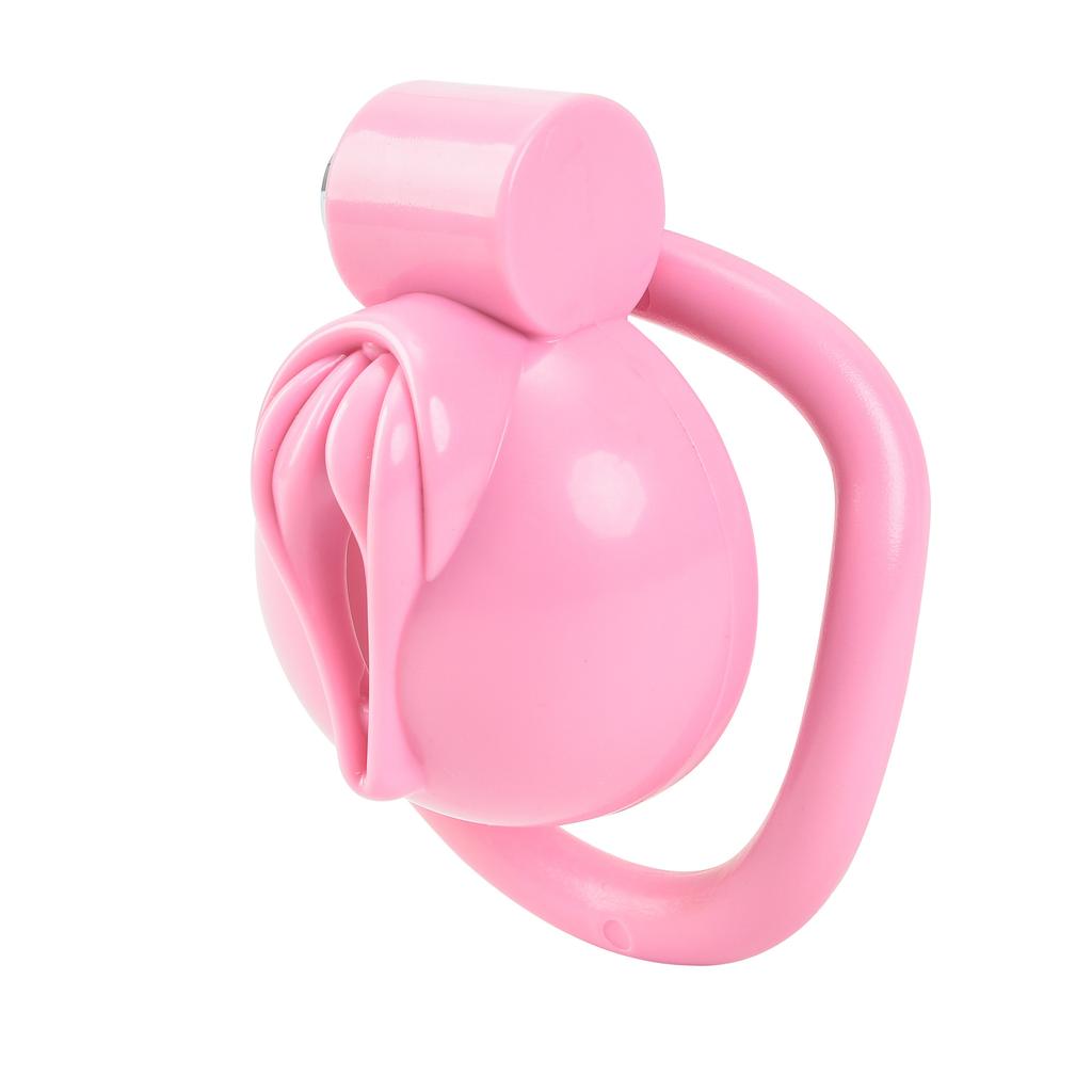 Men's Abs Pot Cover Fake Mother Bird Cage Chastity Lock SM Ring Binding Trainer Adult Alternative Sex Toys