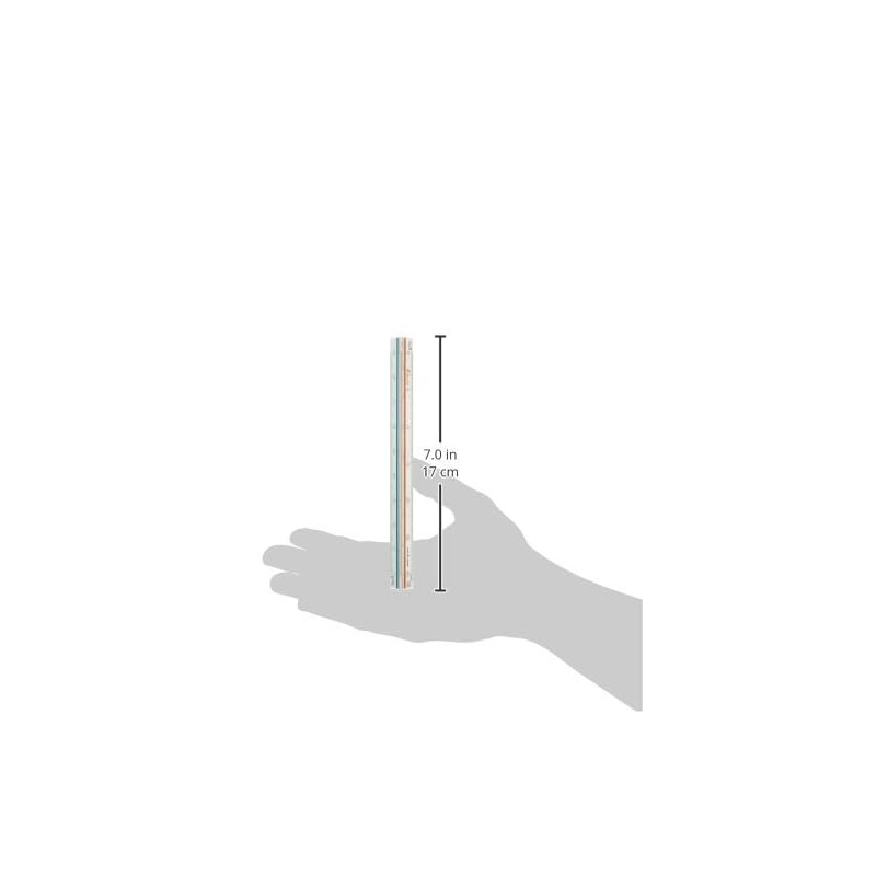 Shinwa Sokutei Triangular Scale for Land and Building Surveyors, A-15 JIS 15cm 74969