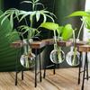 Modern Wooden Frame Hydroponic Planter Glass Bulb Vase Indoor Bonsai Decor for Desk