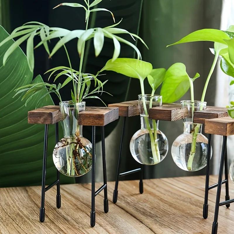 Modern Wooden Frame Hydroponic Planter Glass Bulb Vase Indoor Bonsai Decor for Desk