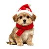 Durable Holiday Window Stickers Christmas Animal Static Clings, Cute Cat/Puppy/Racoon Stickers, PVC Winter Home Accents Waterproof Glass Sticker