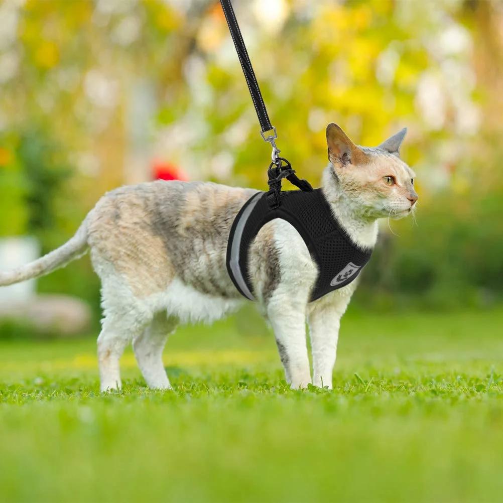 Neues Atmungsaktives Katzengeschirr und Leine Ausbruchsichere Haustierkleidung Kätzchen Welpe Hunde Weste Verstellbar Einfache Kontrolle Reflektierendes Katzengeschirr