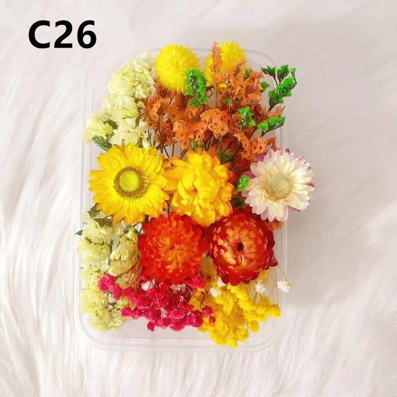 Kit DIY Fleur Éternelle: Cadre photo de fleurs séchées, éventail rond, bouteille flottante, composition florale réelle pour la décoration du salon ou de la maternelle.