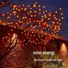 Solar Persimmon and Apple Decorative String Lights