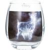 sun art "Harry Potter" Snabe 3D Glass Tumbler, Approx. 330ml, Made In Japan, SAN3747-7, Clear