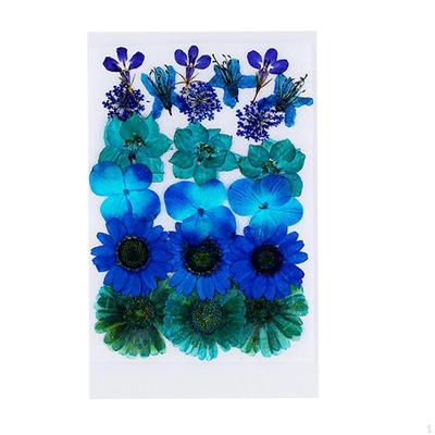 Trockene Blumen, Verzierungen, DIY-Herstellung, Karte, handgefertigter Schmuck, Kunstharz, Kunsthandwerk, Scrapbooking, Kunst