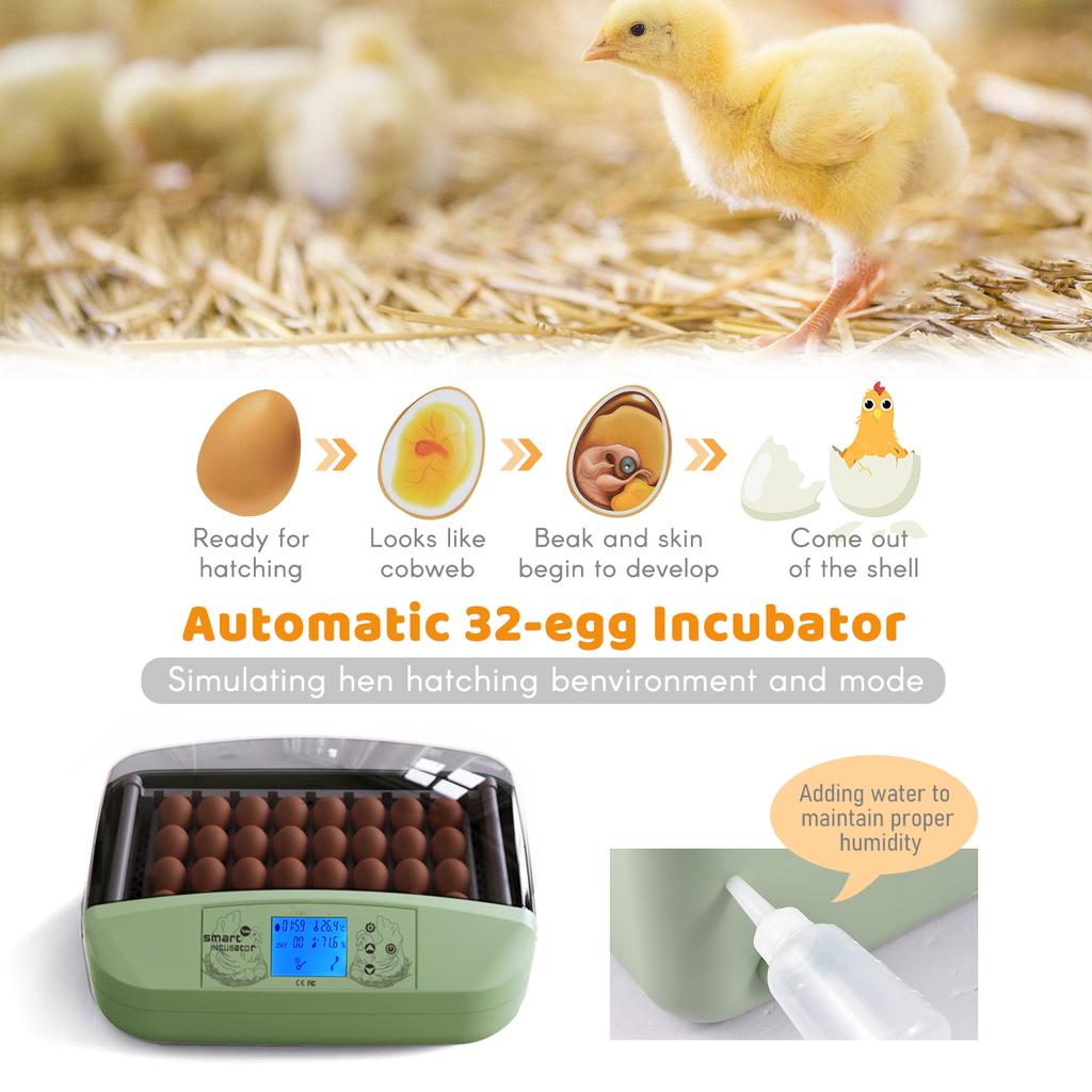 Egg Incubator 32 Eggs Poultry Digital Hatcher with Auto Egg Turning Temperature Control LED Display Temperature