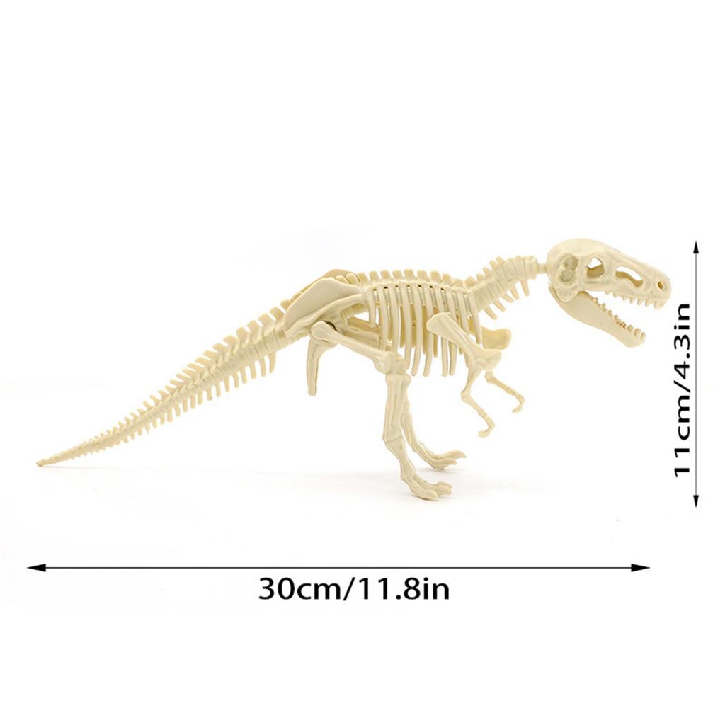 Dinosaur Skeleton DIY Toys Educational Puzzles Model Set For Kids Over 6 Years Old