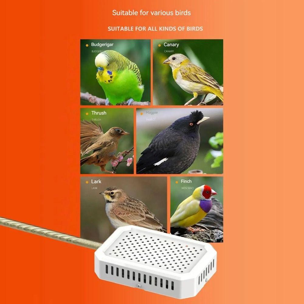 Lightless Design Parrot Cage Warming Panel Safe Heating Bird Warming Device Indoor Heating