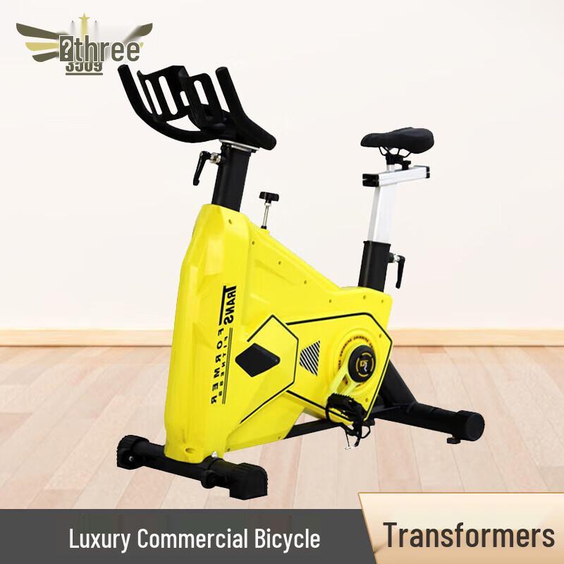 3509 Indoor Fitness Spinning Bike