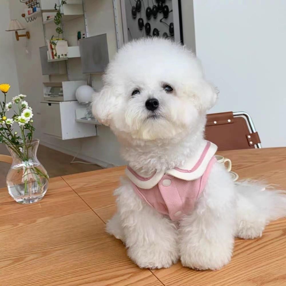 Breathable Dog Clothing Soft Cotton Puppy Outfit New Pet Clothes  Small Dogs