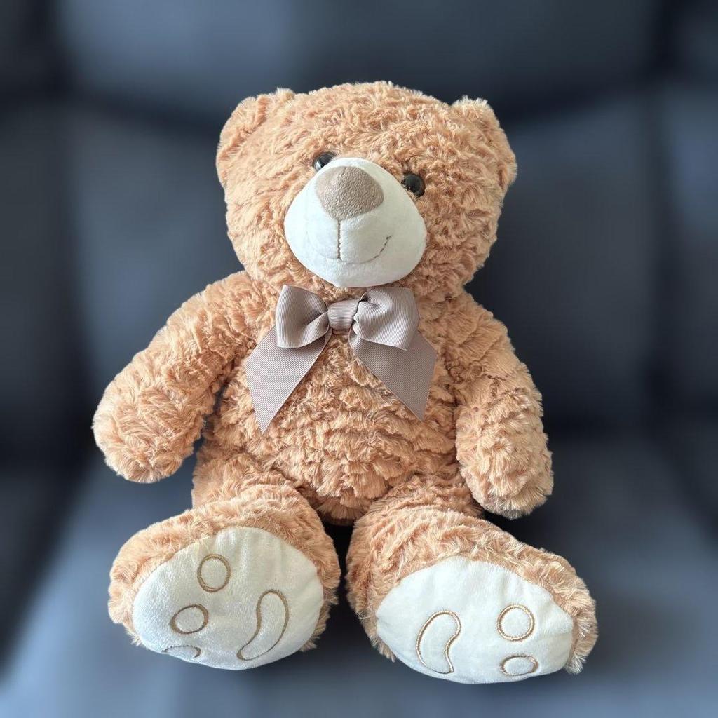 [USED] Teddy Bear Plush Toy