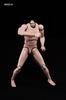 12-inch Male Body Figure, Muscular Male Body Model, Fits 16 Head Sculpt (M)